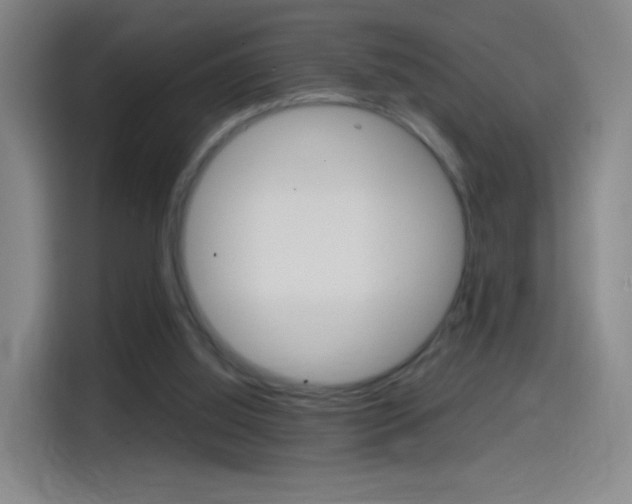 X0000114560060200910191019