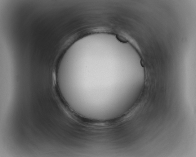 X0000114560061200910191019