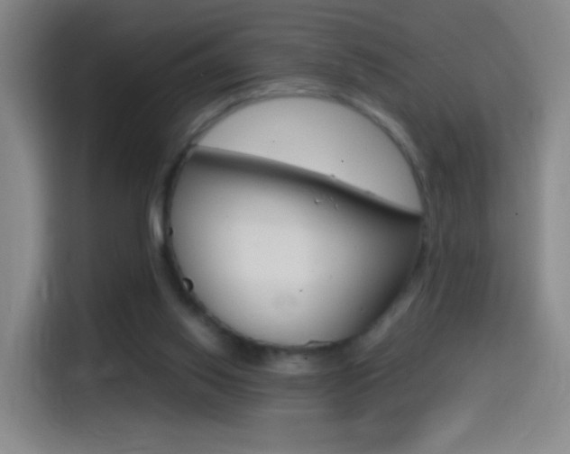 X0000114560062200910191019