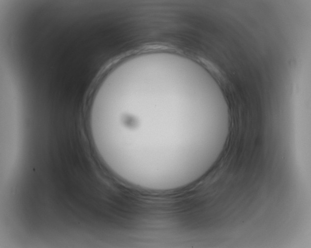 X0000114560064200910191019
