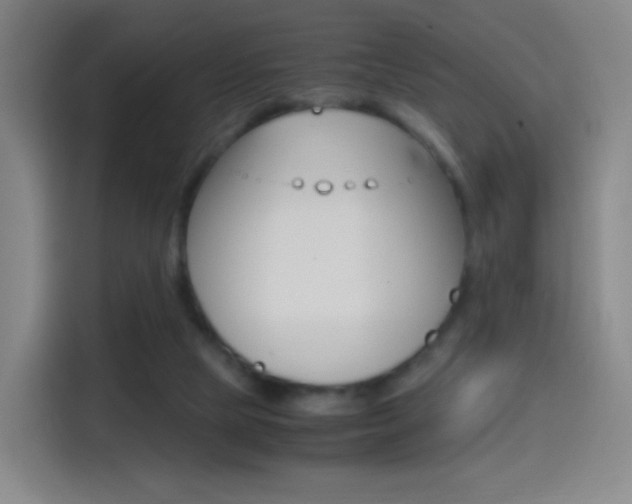 X0000114560065200910191019