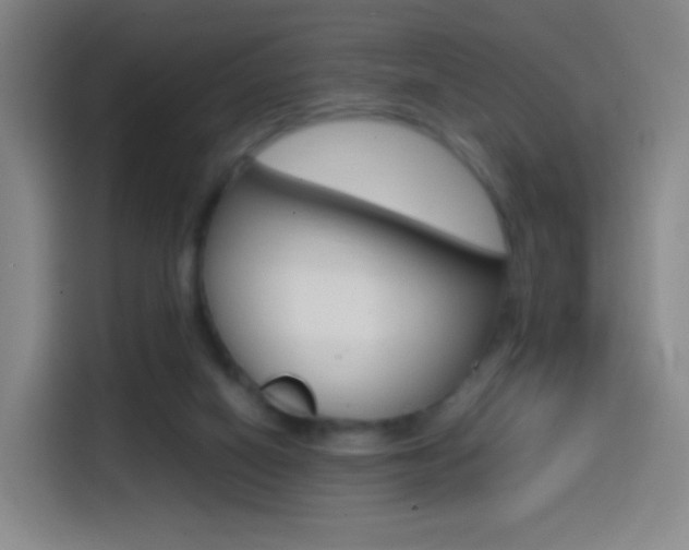 X0000114560066200910191019