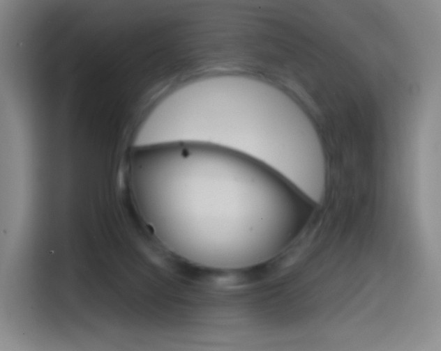 X0000114560068200910191019