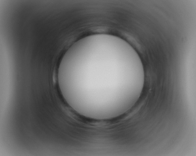 X0000114560069200910191019
