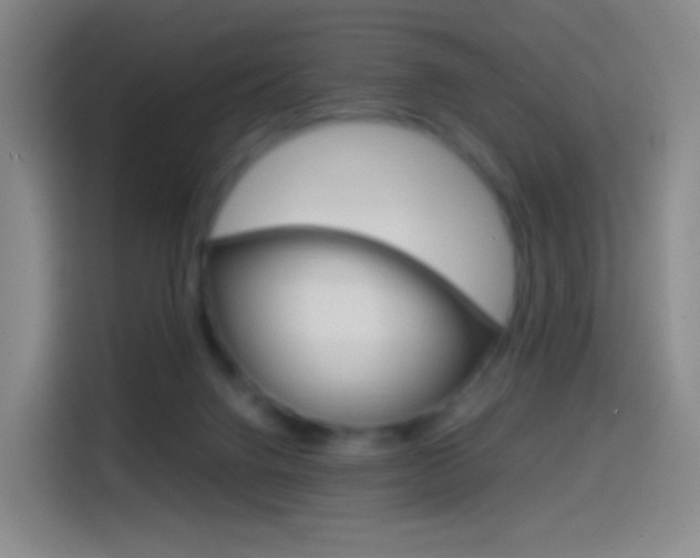 X0000114560072200910191020