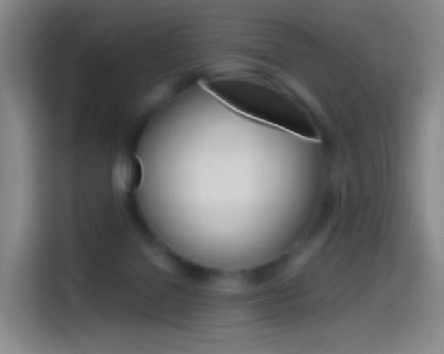 X0000114560076200910191020