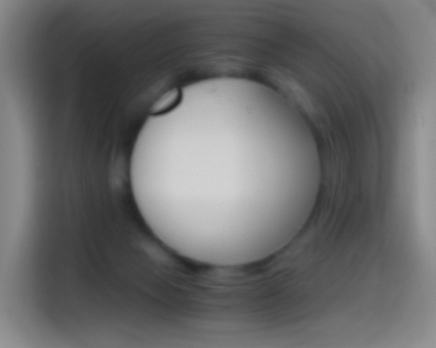 X0000114560077200910191020