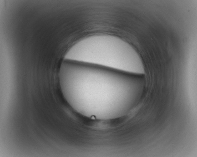 X0000114560078200910191020