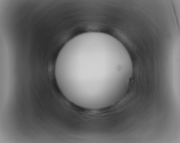 X0000114560079200910191020