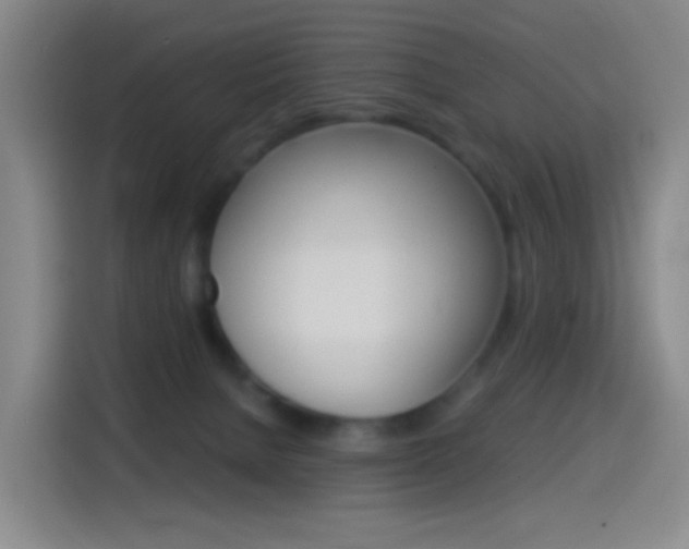 X0000114560080200910191020