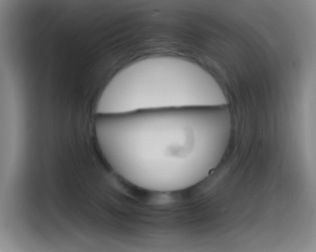X0000114560083200910191020