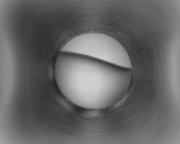 X0000114560086200910191020