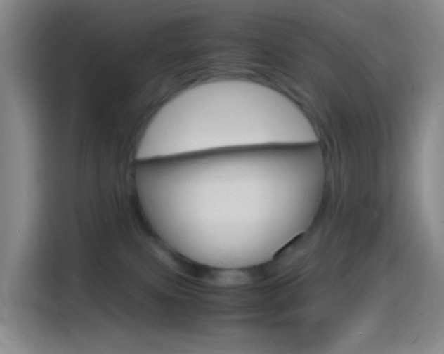 X0000114560087200910191020