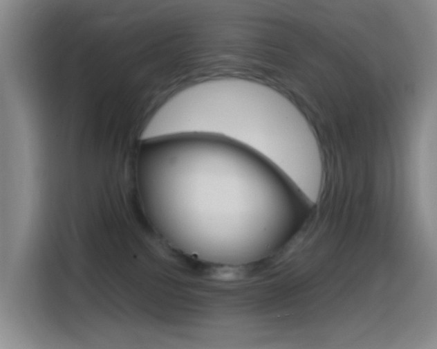 X0000114560088200910191020