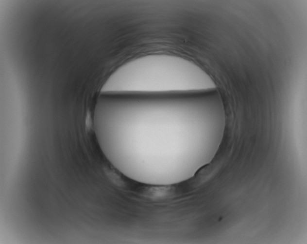 X0000114560089200910191020
