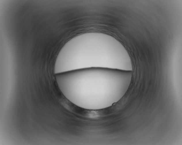 X0000114560091200910191020