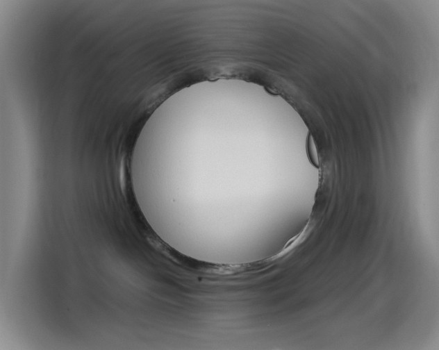 X0000114560094200910191020