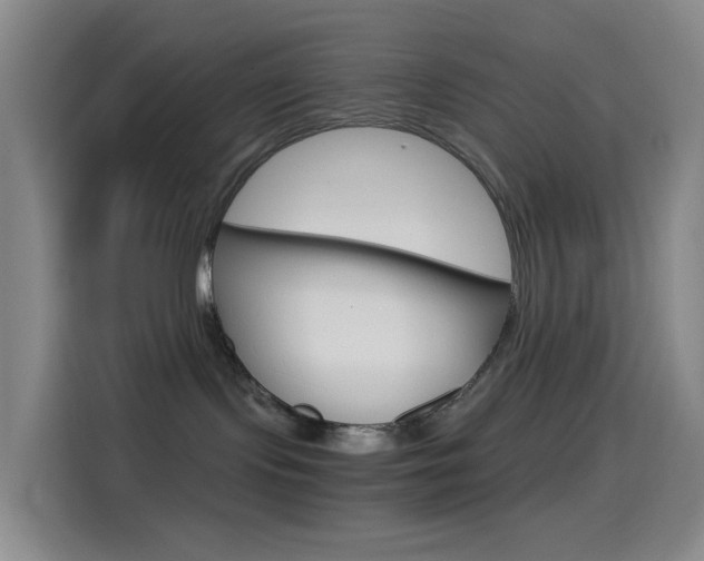 X0000114560095200910191020