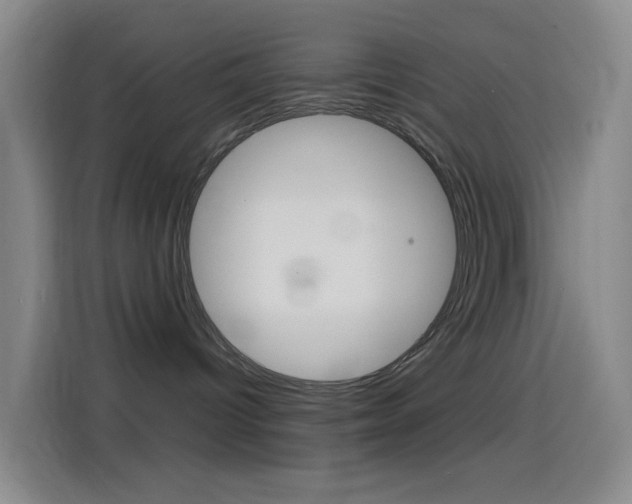 X0000114560096200910191020