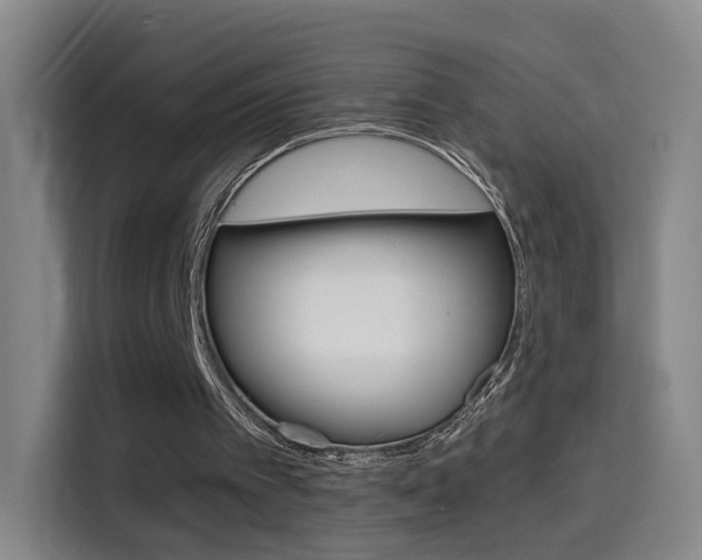 X0000114560097200910191019