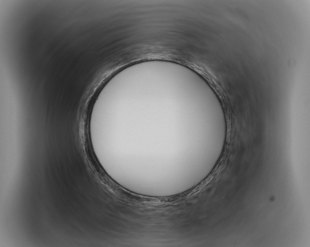 X0000114560098200910191019