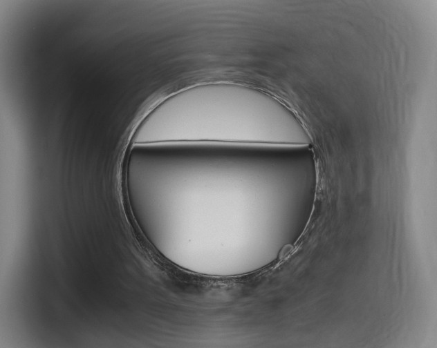 X0000114560099200910191019