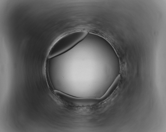 X0000114560100200910191019