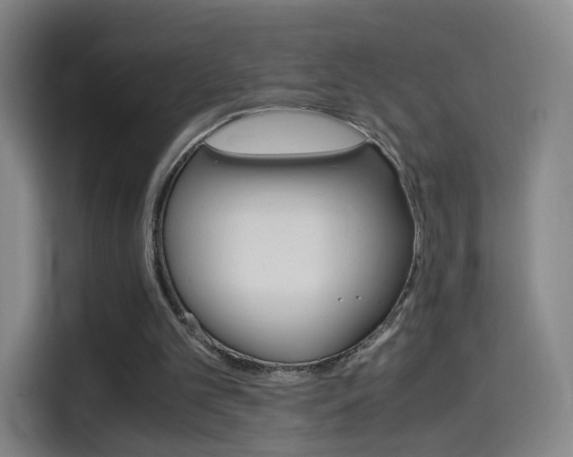 X0000114560101200910191019
