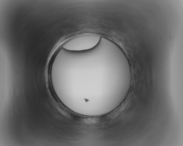 X0000114560102200910191019