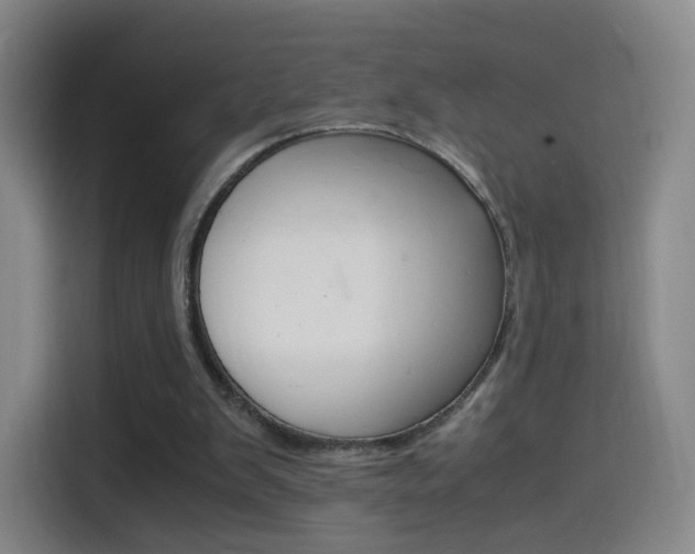 X0000114560103200910191019