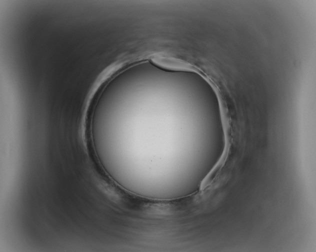 X0000114560104200910191019