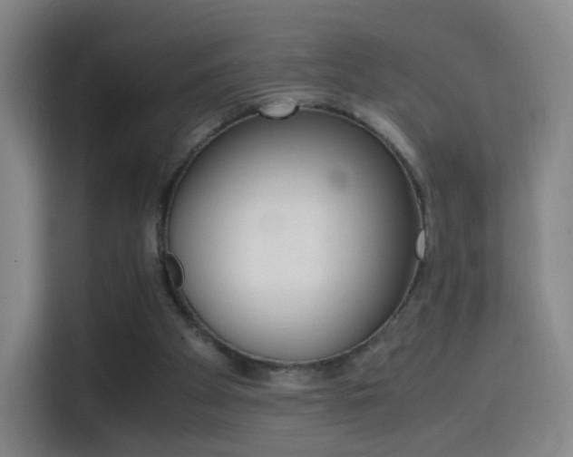 X0000114560105200910191019