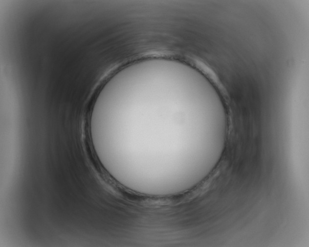 X0000114560106200910191019