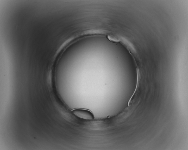 X0000114560108200910191019
