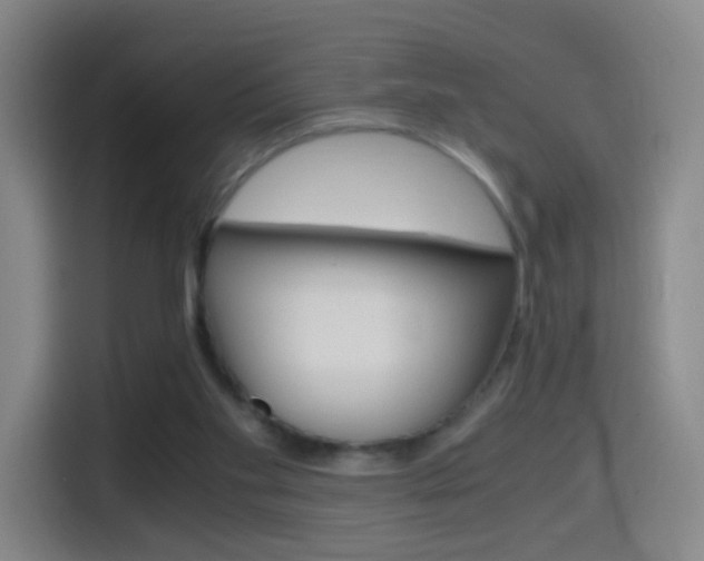 X0000114560109200910191019