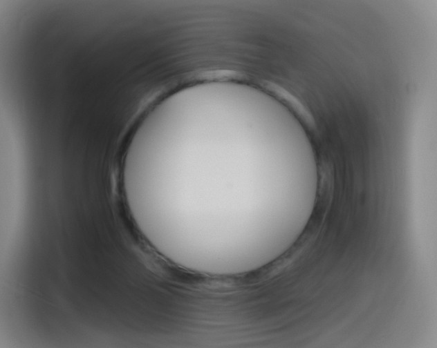 X0000114560110200910191019