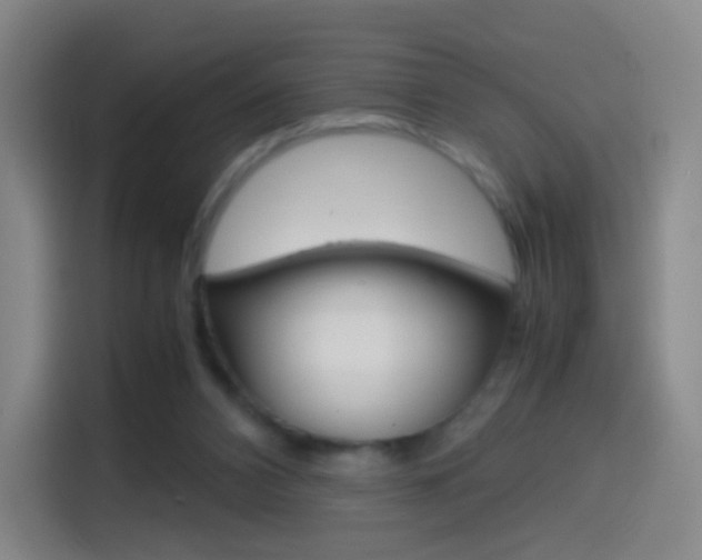 X0000114560112200910191019