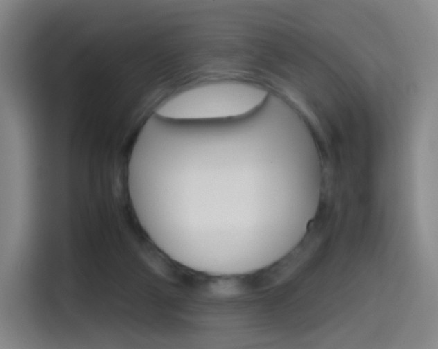 X0000114560114200910191019