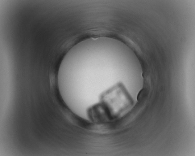 X0000114560117200910191019