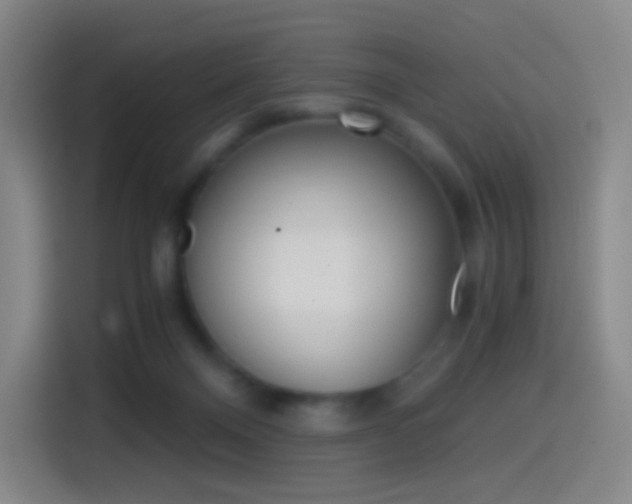 X0000114560120200910191019