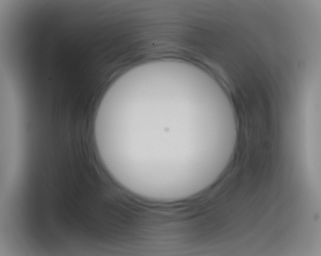 X0000114560121200910191019