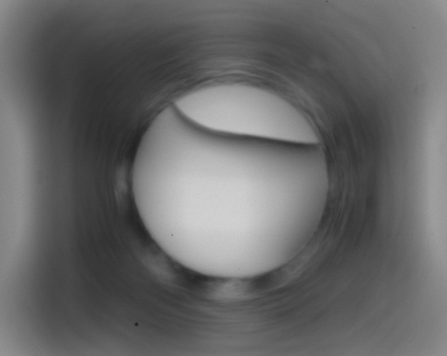 X0000114560122200910191019
