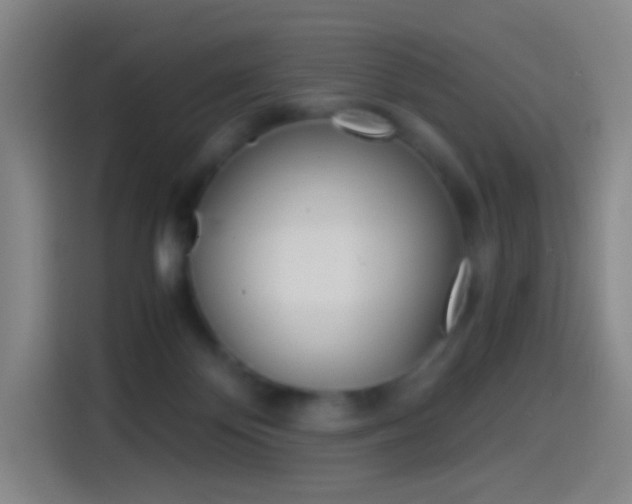 X0000114560124200910191019