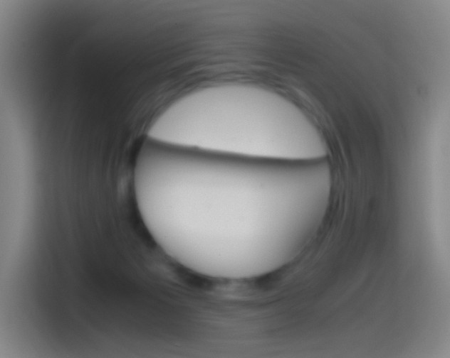 X0000114560125200910191019