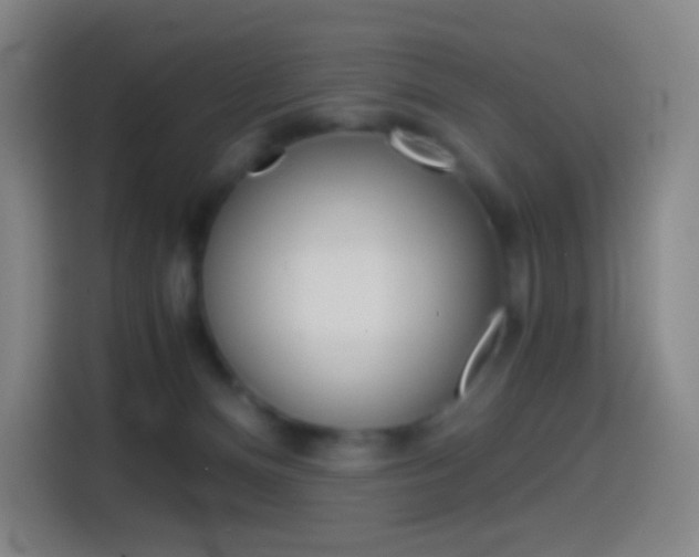 X0000114560128200910191019