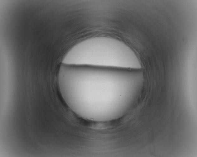 X0000114560129200910191019