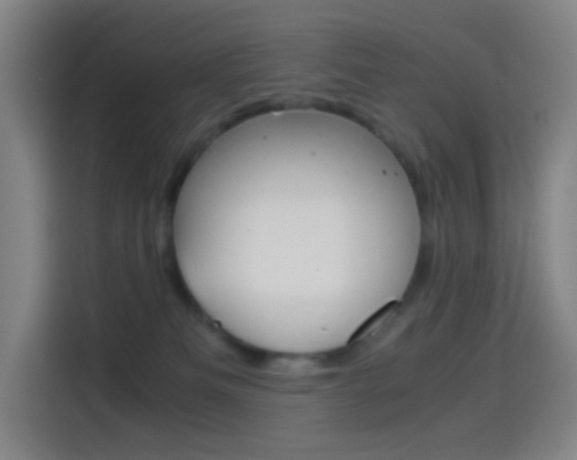 X0000114560133200910191019