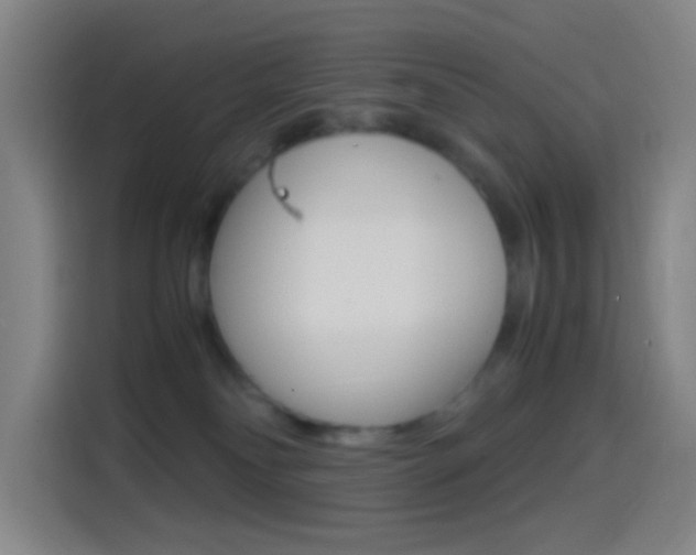 X0000114560134200910191019