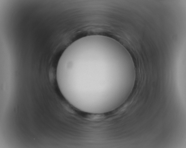 X0000114560135200910191019