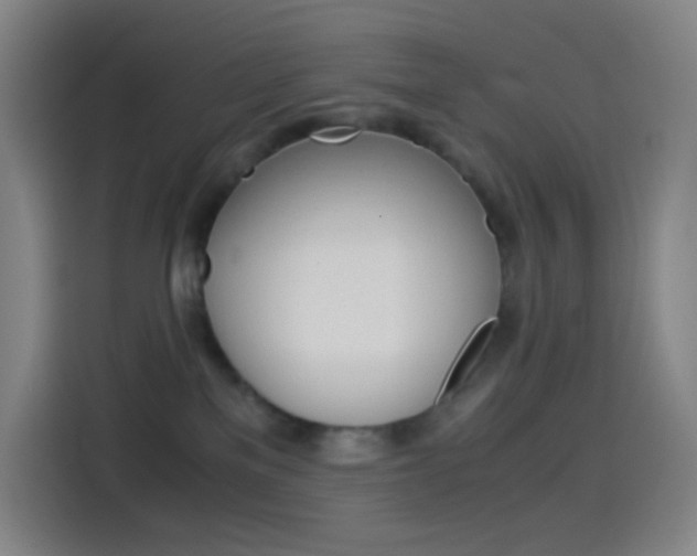 X0000114560137200910191019